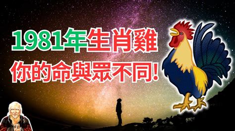 屬雞1981|【1981 雞】1981 雞年運勢大揭密：五行、大運及 2024 年運程！